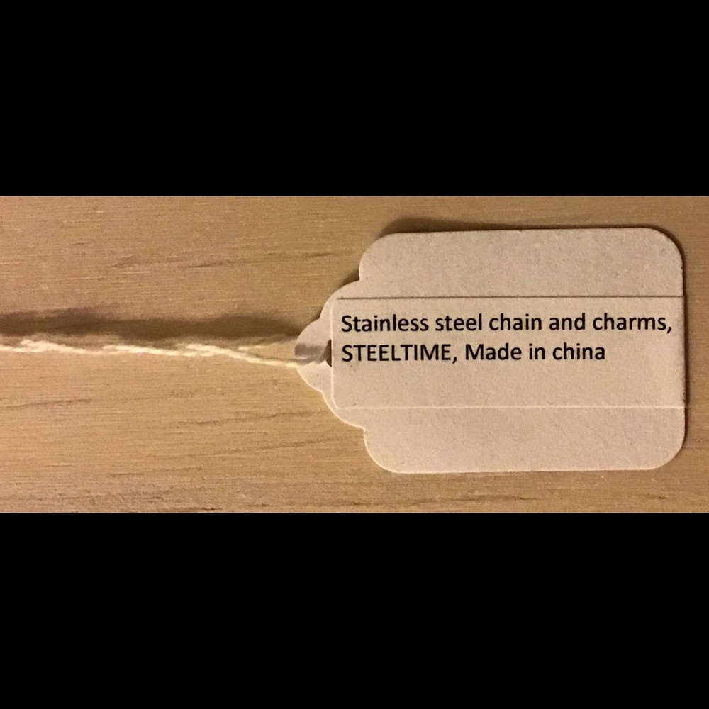 🌷 STAINLESS STEEL CHARM NECKLACE - Picture 4 of 6